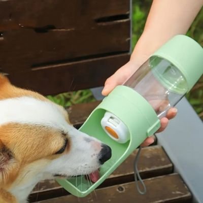 gourde pour chien vert bois