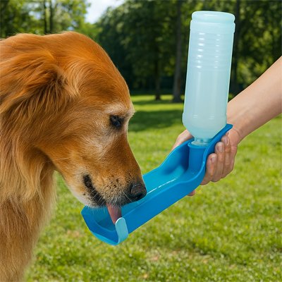 gourde pour chien vert parc