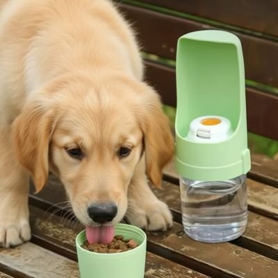 gourde pour chien vert promenade nourriture
