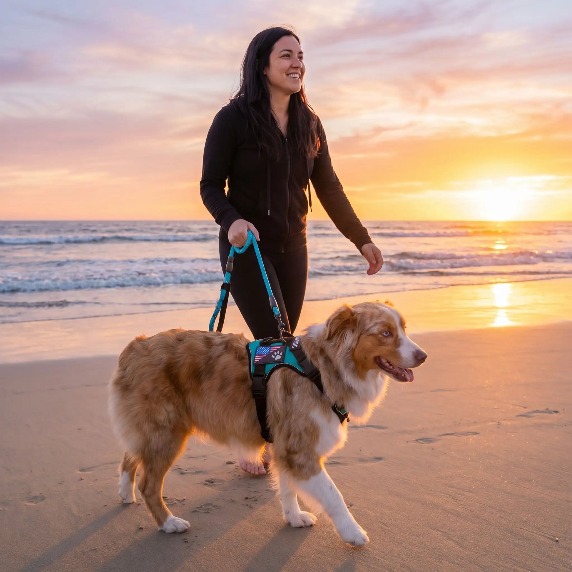 harnais chien couleur bleue ciel femme marche plage coucher soleil