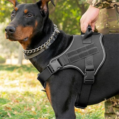 harnais chien couleur noir sortie exterieur