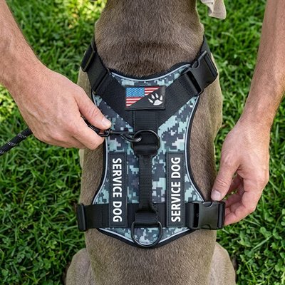 harnais chien couleur vert armée ballade exterieur promenade 