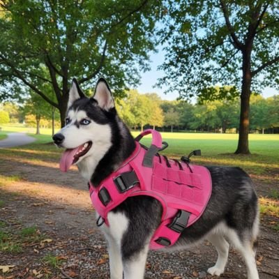 Harnais chien rose grand