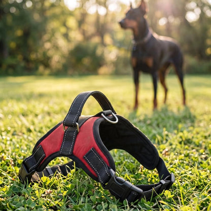 harnais chien rouge pour grand taille