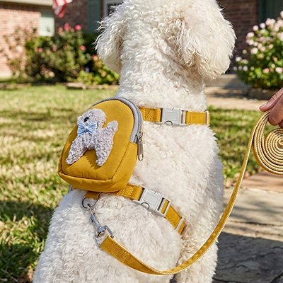 harnais pour chien couleur jaune sortie sentier marche avec sangle 