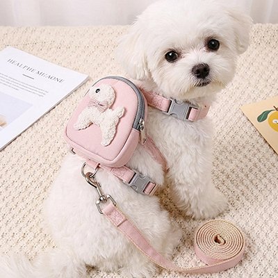 harnais pour chien couleur rose avec laisse interieur 