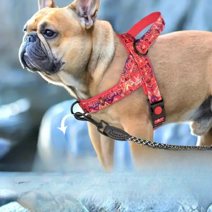 harnais pour chien rouge