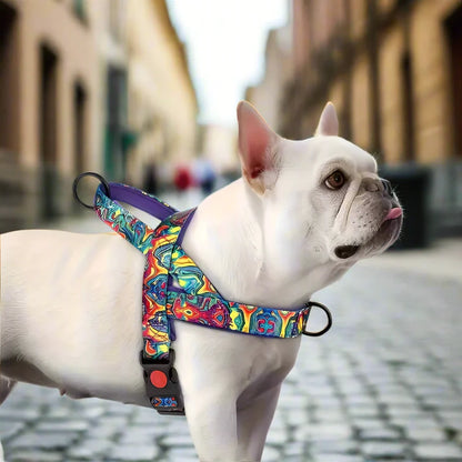 harnais pour chien violet promenade