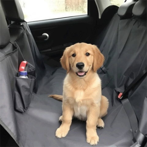 housse voiture chien avec poches rangement