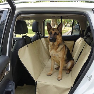 housse voiture chien couleur beige liberte mouvement camion vus