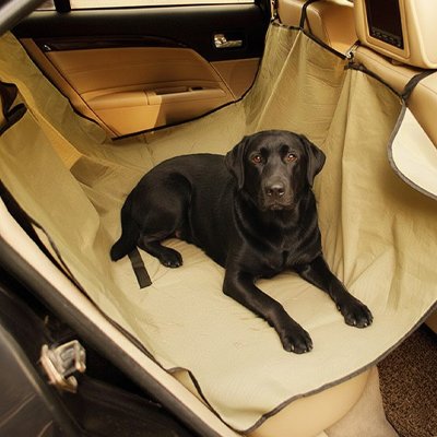 housse voitur chien couleur beige siege arriere grande race         