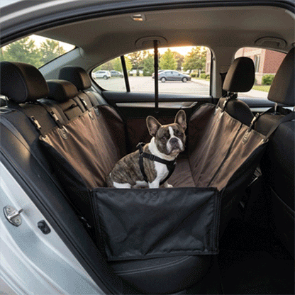 housse voiture chien couleur marron beige rose voiture vus