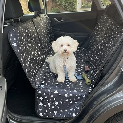 housse voiture chien couleur noir avec laisse petite race