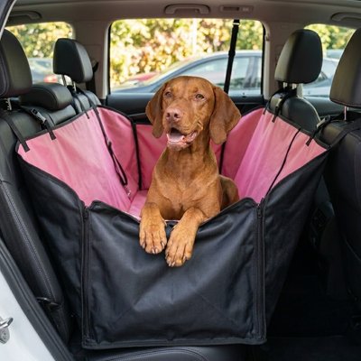 housse voiture chien couleur rose grande race dans automobile