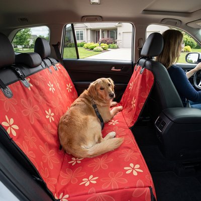 housse voiture chien couleur Rouge orangé dans automobile femme