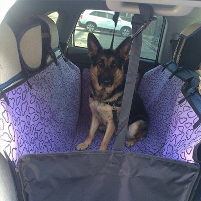 housse voiture chien couleur Violet banquette arriere grande race