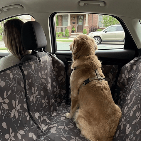 housse voiture chien transport voyage automobile vus camion