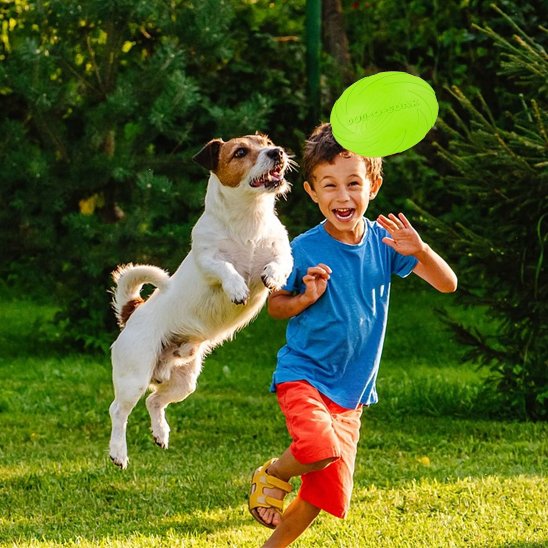 jouet-chien-disque-volant-Rose-Frisbee-
