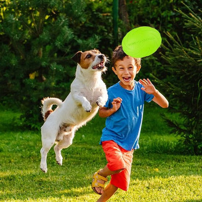 jouet-chien-disque-volant-Rose-Frisbee-