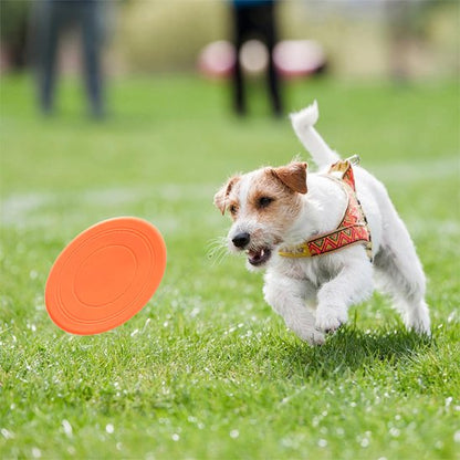 jouet chien frisbee disque volant orange exterieur