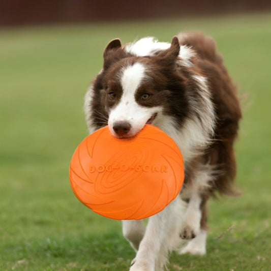 jouet-chien-orange-grand-parc-terrasse-disque-volant-Frisbee 