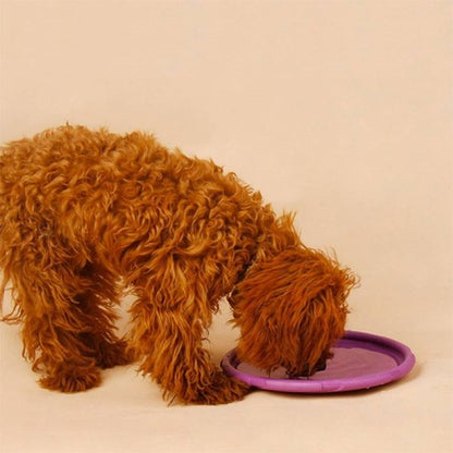 Jouet chien-sable-disque-volant-Frisbee-plage