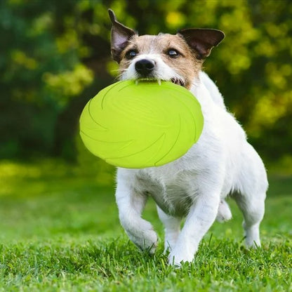 jouet-chien-vert-petit-parc-terrasse-disque-volant-Frisbee-