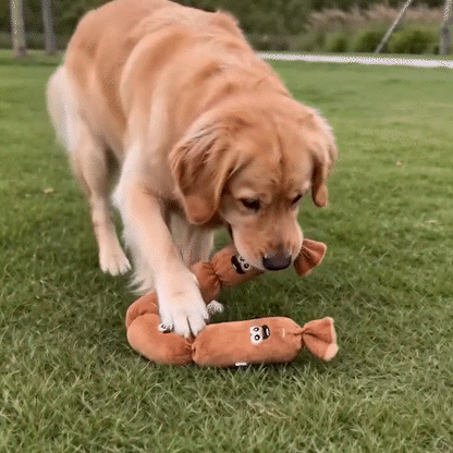 jouet pour chien brun exterieur