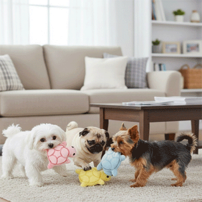 jouet pour chien petite grande race