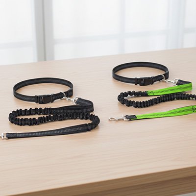 laisse chien canicross noir vert