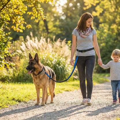 laisse chien entoure aille bleue marche sentier femme enfant