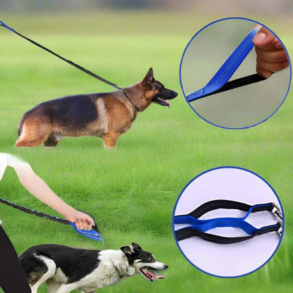 laisse chien noir bleu exterieur sortie marche