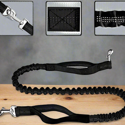 laisse chien noir dressage sortie promenade