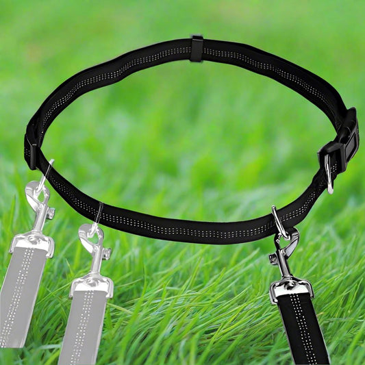 laisse chien noir gris