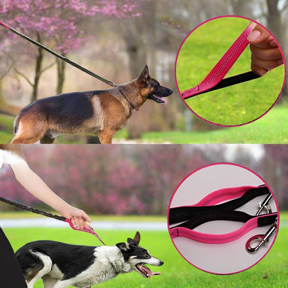 laisse chien noir rose promenade sortie dressage