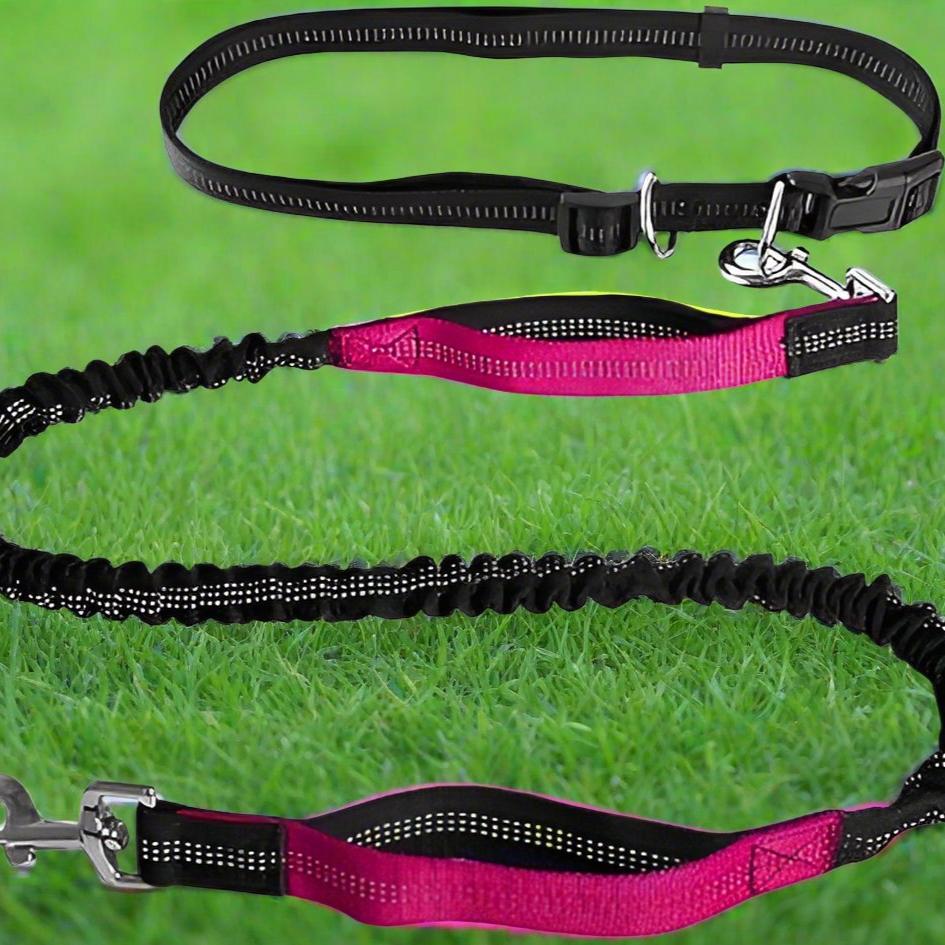 laisse chien noir rose sortie