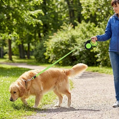 laisse enrouleur pour grand chien vert parc marche arbre
