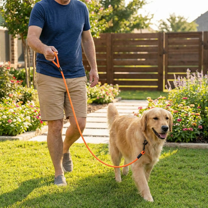 laisse pour chien couleur orange sortie homme parc
