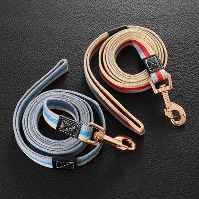 laisse pour chien deux couleur bleue jaune 