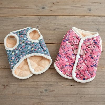 manteau chien bleue blanc fleur exterieur hiver printemps automne  