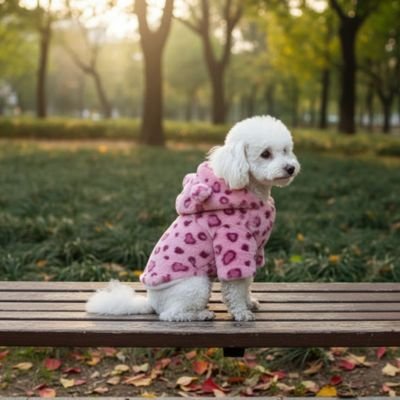 manteau chien doux rose promenade sortie capuche hiver vetement
