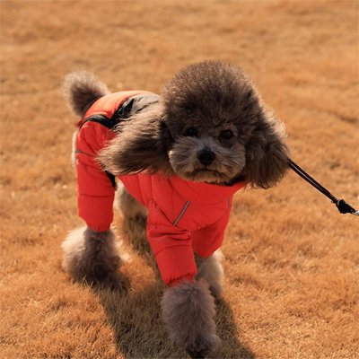 manteau pour chien grand rouge hiver chaud