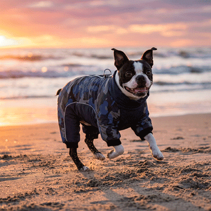 manteau pour chien petite race