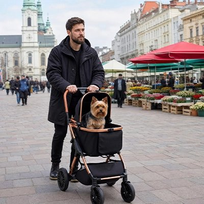 poussette pour chien couleur noir homme promenade automne marche