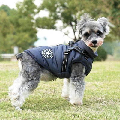 Manteau Chien | ImperCozy
