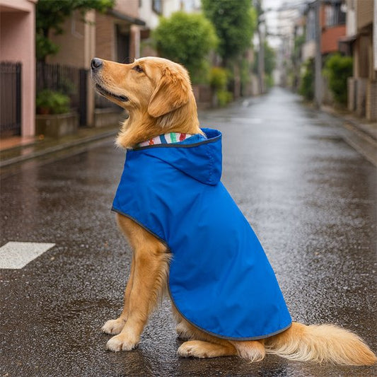 Manteau chien | HiverCozy