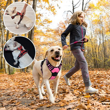 Harnais pour chien | Sécurité Confort