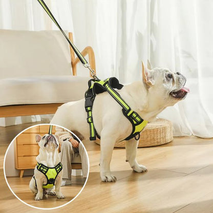 Harnais pour chien | Sécurité Confort