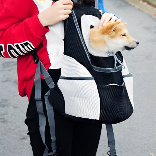Sac à dos pour chien | Mesh Confort