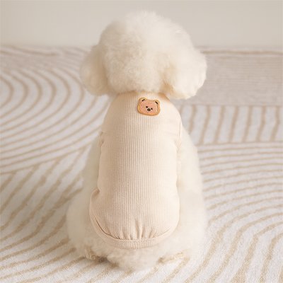 Pull pour Chien blanc
